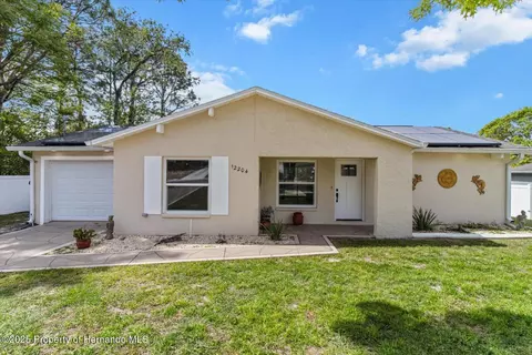 12204 Ronald St, Spring Hill, FL 34609