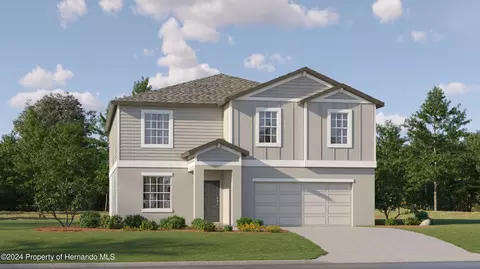 10194 Gentle Rain Dr, Land O' Lakes, FL 34638