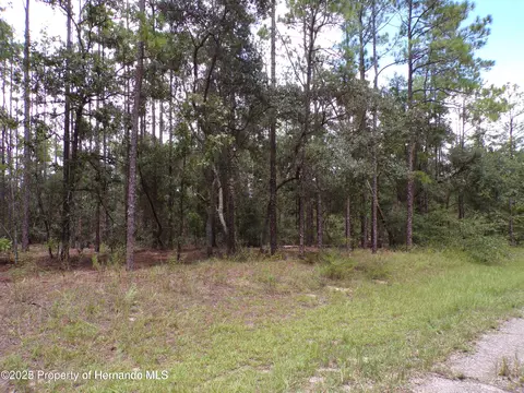 601 E Marquette Ln, Citrus Springs, FL 34434