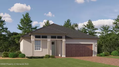 9816 Minnow Ray Dr, Land O' Lakes, FL 34638