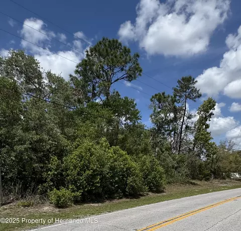 . Waterfall Drive, Spring Hill, FL 34608 photo 2