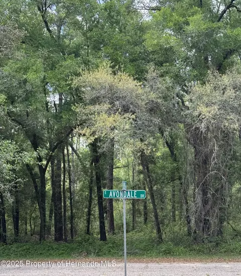 433 E Avondale Dr, Dunnellon, FL 34434