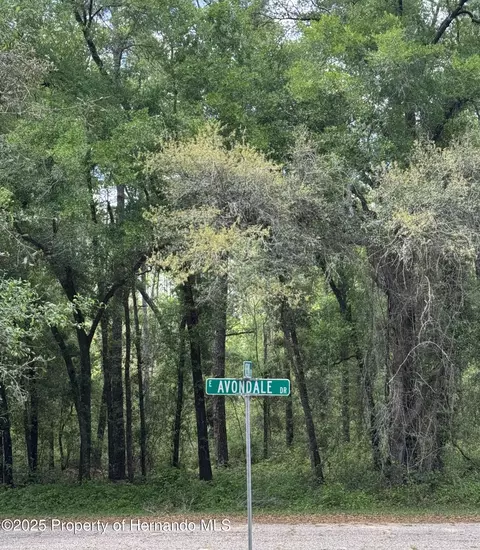 455 E Avondale Dr, Dunnellon, FL 34434