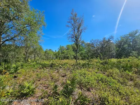 8130 Shellstream Dr, Webster, FL 33597