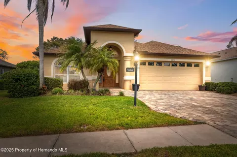 11631 Wayside Willow Ct, Hudson, FL 34667