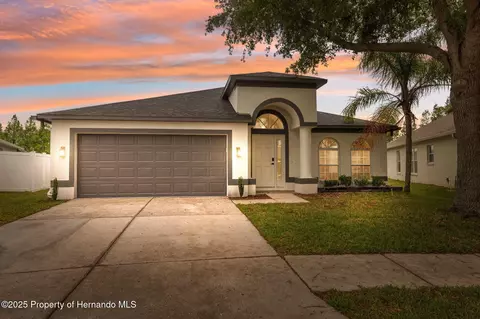 18456 Merseyside Loop, Land O' Lakes, FL 34638