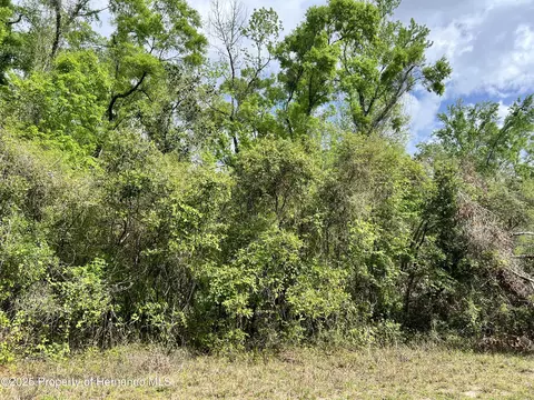 0 NE 349 Ave, Old Town, FL 32680