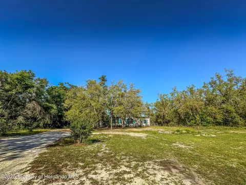 3231 Burwell Rd, Webster, FL 33597