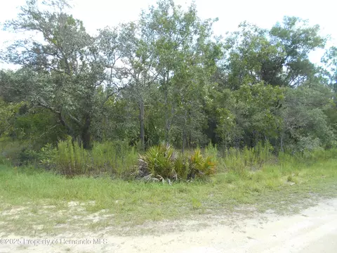 lot9 Gold Crest Rd, Weeki Wachee, FL 34614