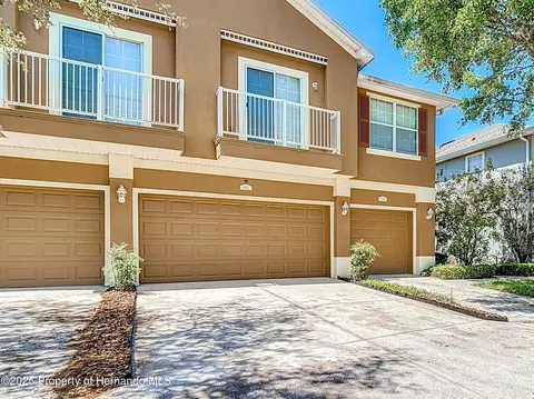 6821 Breezy Palm Dr, Riverview, FL 33578
