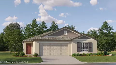 10258 Gentle Rain Dr, Land O' Lakes, FL 34638
