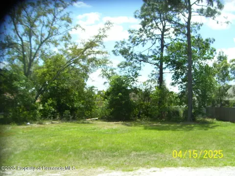 14228 Spring Hl, Spring Hill, FL 34609