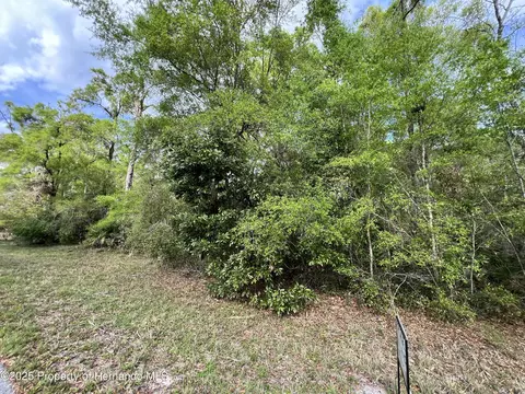0 NW 74th Ct, Chiefland, FL 32626