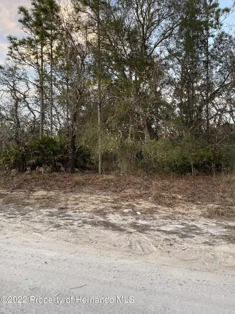 0 Eadom, Weeki Wachee, FL 34614