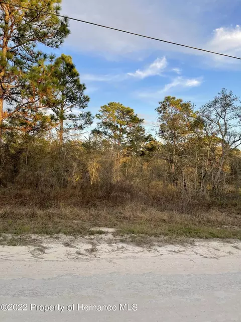 0 Everglades Kite Rd, Weeki Wachee, FL 34614