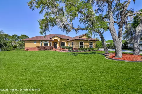 9641 Tooke Shore Dr, Weeki Wachee, FL 34613