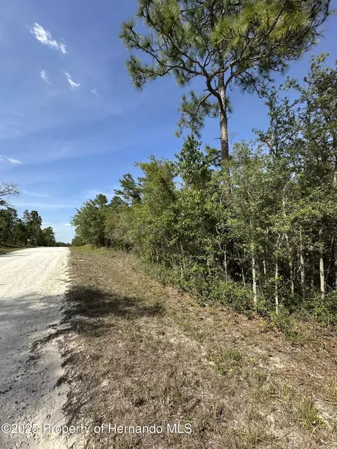 14106 Eastern Phoebe Rd, Weeki Wachee, FL 34614