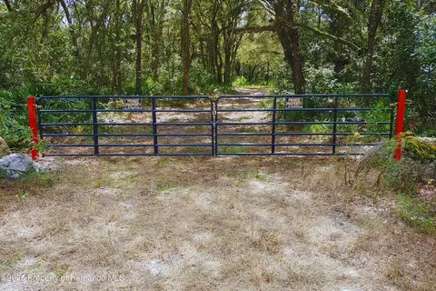 0 Butternut Dr, Webster, FL 33597