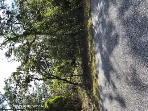 0 Christopher Ln, Weeki Wachee, FL 34613