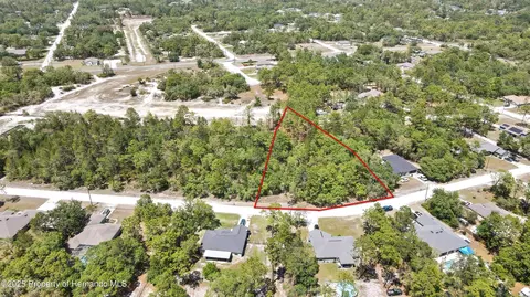 10489 Maybird Ave, Weeki Wachee, FL 34613
