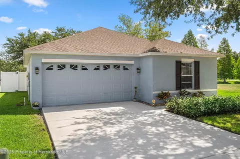 32201 Brookstone Dr, Wesley Chapel, FL 33545