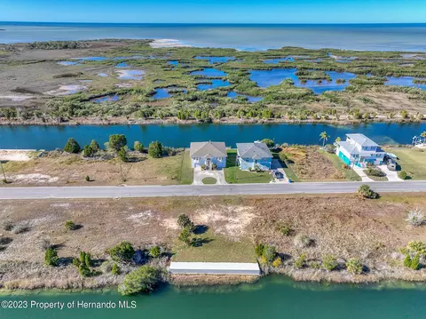 3266 Lugustrum Dr, Hernando Beach, FL 34607 photo 9