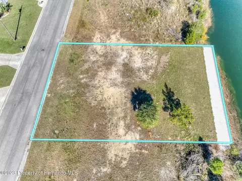3266 Lugustrum Dr, Hernando Beach, FL 34607 photo 6