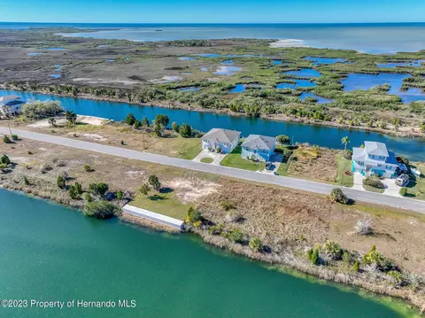3266 Lugustrum Dr, Hernando Beach, FL 34607 photo 11