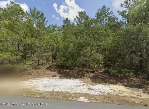 4393 W Cameo Ln, Citrus Springs, FL 34433