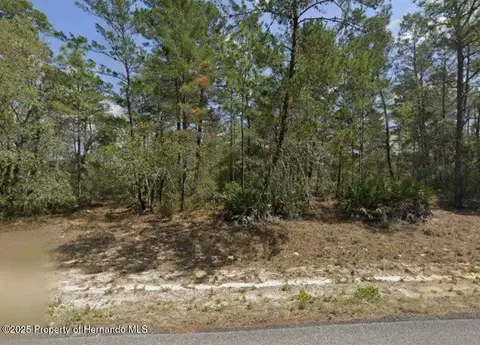 6534 N Harcross Ave, Citrus Springs, FL 34433