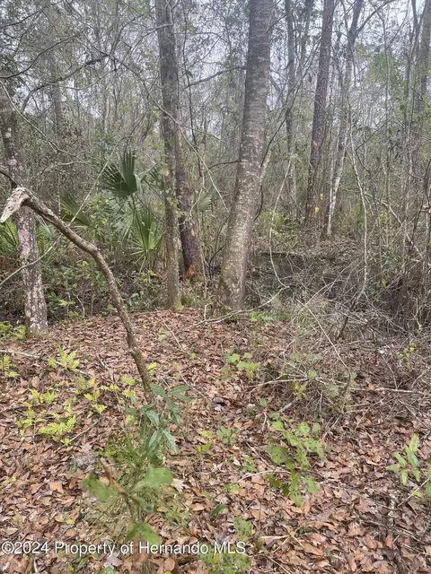 0 Nuzum Rd, Weeki Wachee, FL 34613