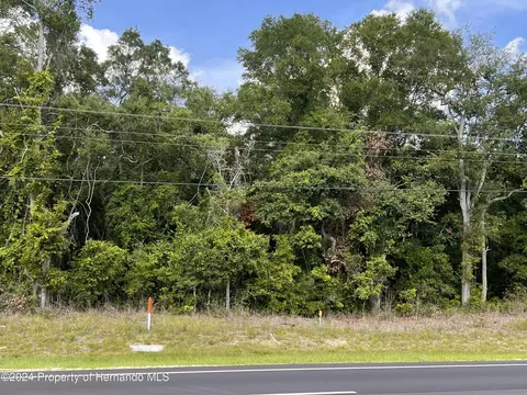 0 Us Hwy 19, Chiefland, FL 32626
