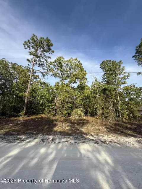 lot9 Macassar Rd, Weeki Wachee, FL 34614