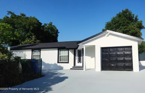 10101 Moores Mill Ct, Tampa, FL 33615