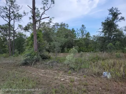 0 Cedarwood Ave, Weeki Wachee, FL 34614