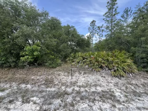 18167 Parakeet Rd, Weeki Wachee, FL 34614