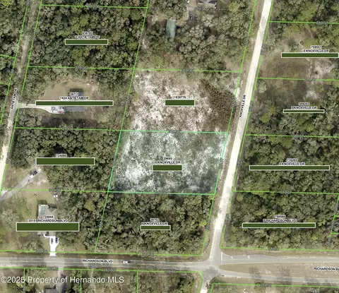 0 Knoxville Dr, Ridge Manor, FL 33597