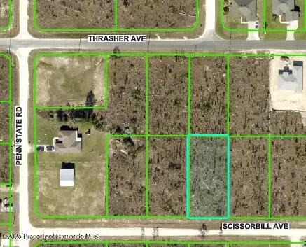 0 Scissorbill Ave, Weeki Wachee, FL 34614