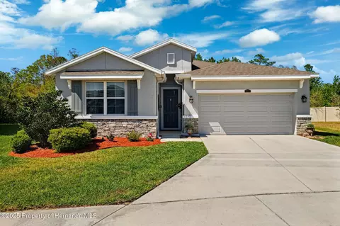 15793 Midnight Dove Ct, Odessa, FL 33556