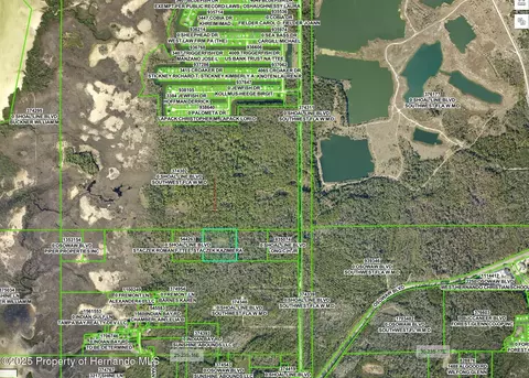 0 Shoal Line Blvd, Hernando Beach, FL 34607 photo 3