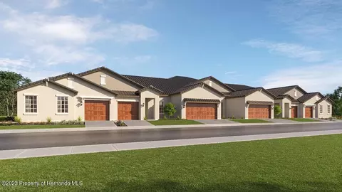 10869 Rustic Eve Ct, Land O' Lakes, FL 34638