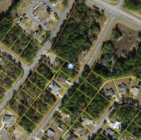 9561 N Travis Dr, Dunnellon, FL 34434