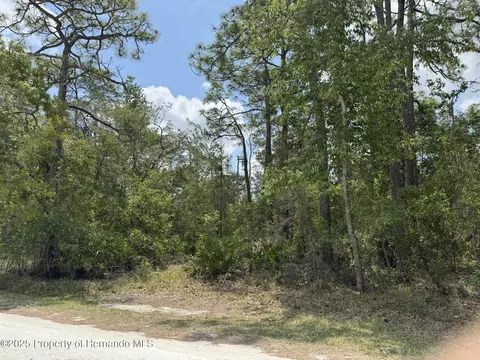 lot55 Nakoma Way, Weeki Wachee, FL 34613