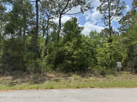 lot79 Waterbird Way, Weeki Wachee, FL 34613