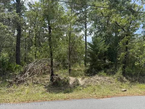 lot62 Michigan Ave, Weeki Wachee, FL 34613