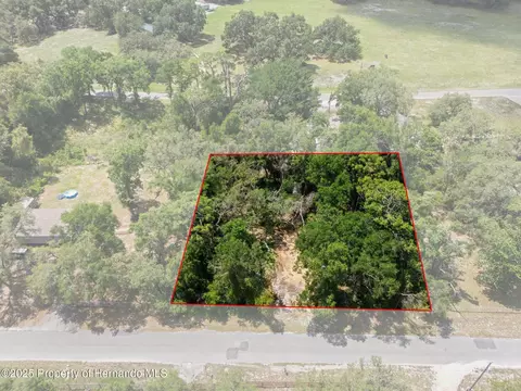 4381 County Rd 692, Webster, FL 33597 photo 1