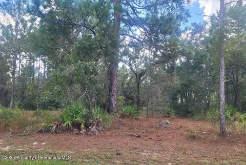 0 Maybird Ave, Weeki Wachee, FL 34613