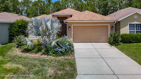10181 Holly Berry Dr, Weeki Wachee, FL 34613