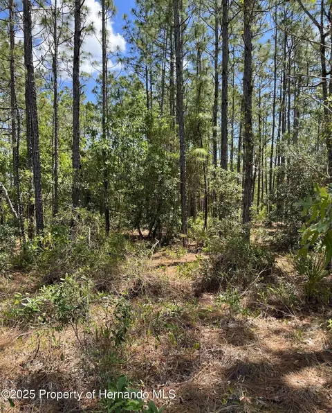 00 Pomp Lot7003 Pkwy, Weeki Wachee, FL 00000