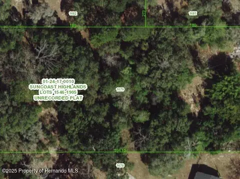 18215 Manteno Dr, Spring Hillpasco, FL 00000